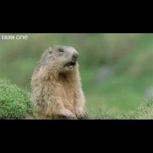 Meet your Posher, Edgar